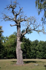 Killikus&reg; Fotographie